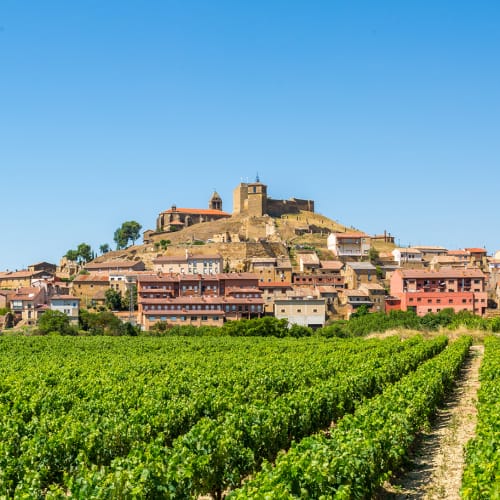 Spanischer Wein