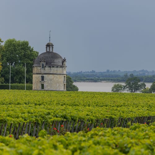 Pessac-Léognan