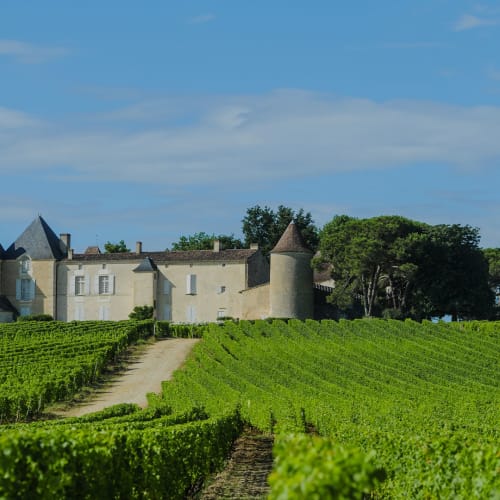 Sauternes