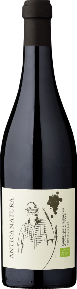 8033324470107 - 2019 Zanasi Antica Natura Lambrusco Bio DOP