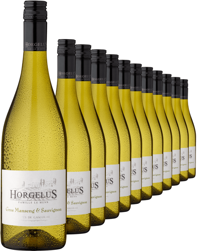 2023 Horgelus Gros Manseng & Sauvignon im 12er-Vorratspaket Horgelus Ludwig von Kapff DE