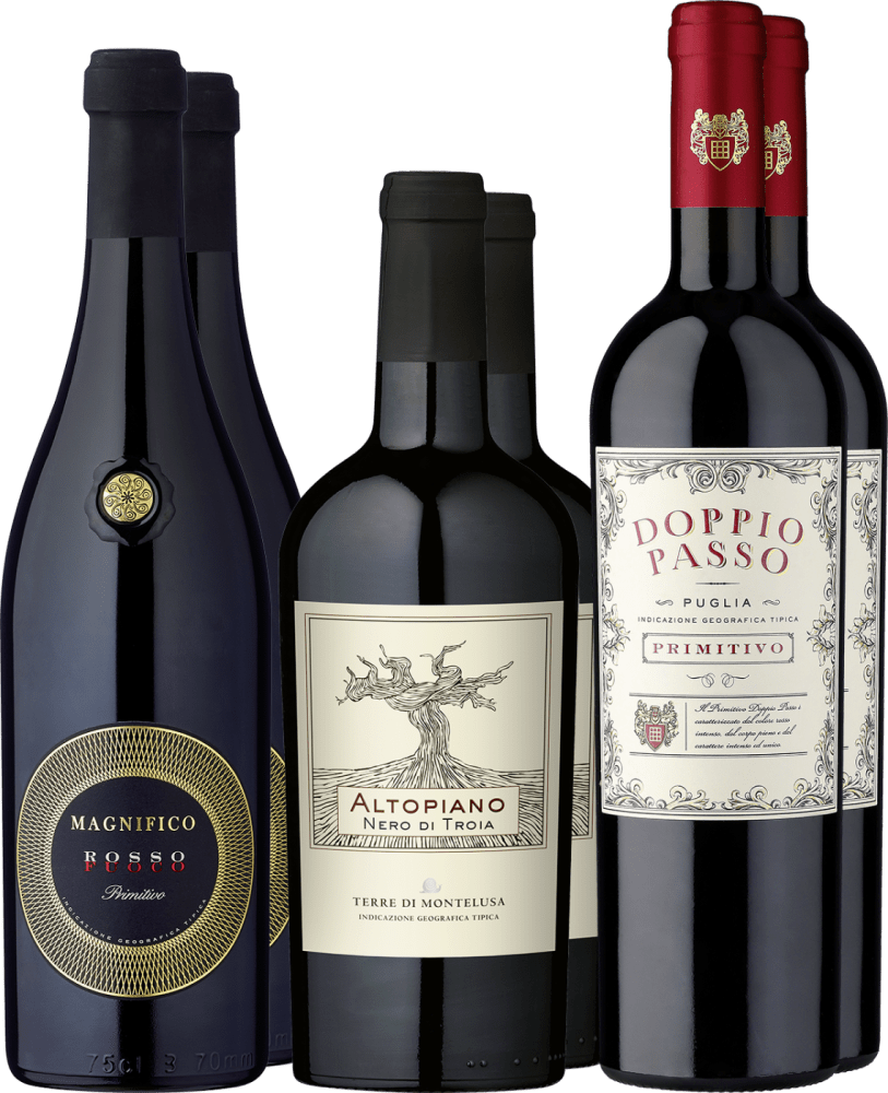 6er-Probierpaket »Erstklassiger Italien-Genuss« Ruyter & Ast GmbH Club of Wine DE