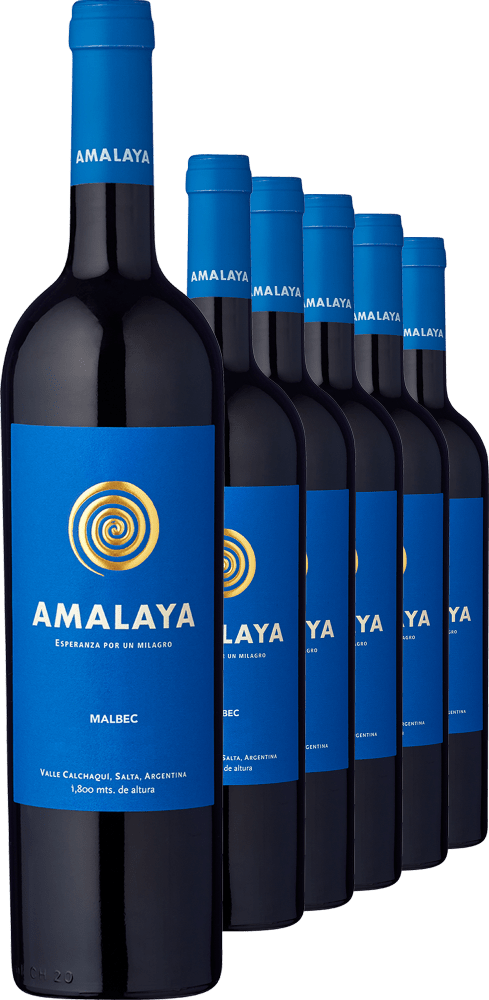 2021 Amalaya de Colome im 6er-Vorratspaket Bodega Amalaya Ludwig von Kapff DE