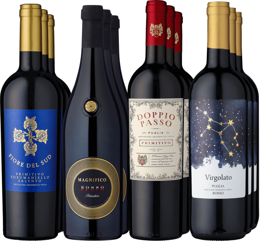 12er-Probierpaket »Italienische Rotwein-Power« Eggers und Franke GmbH Club of Wine DE