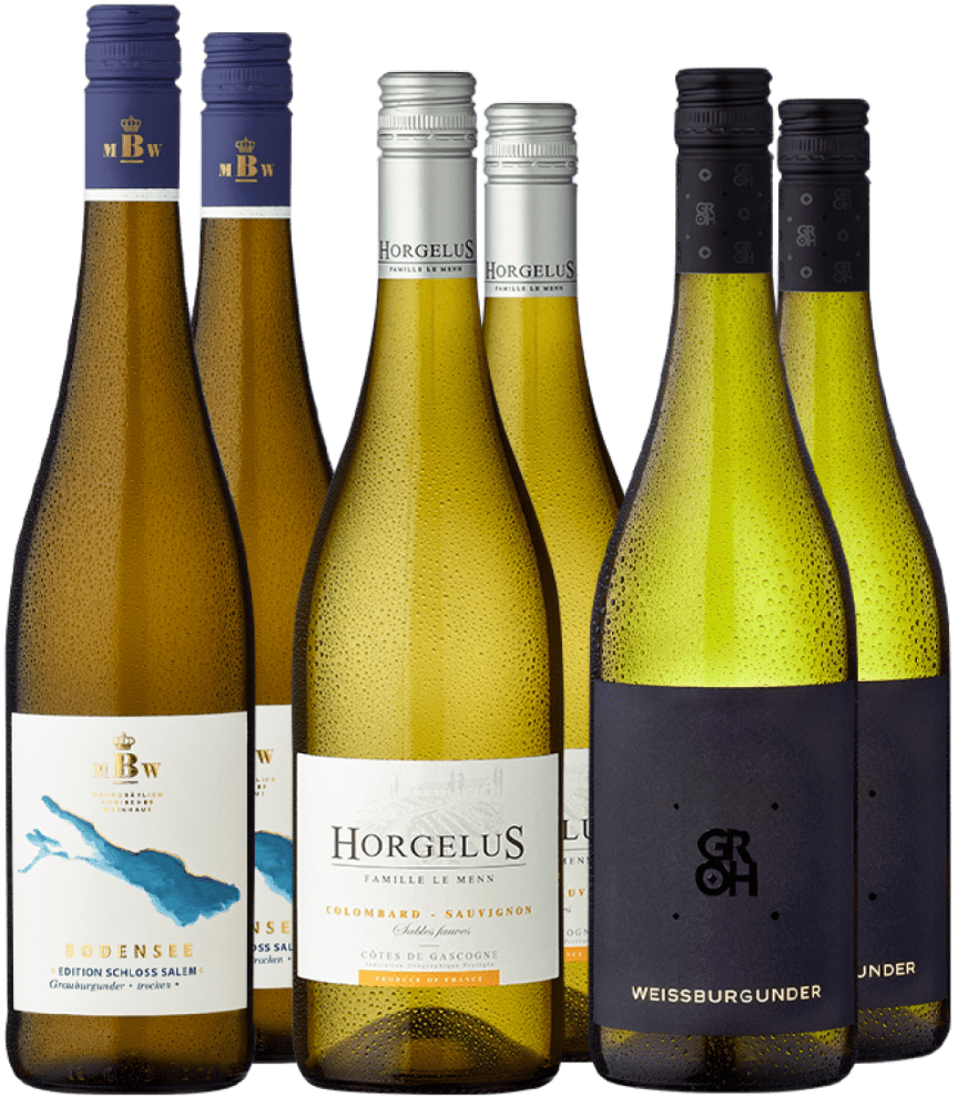 6er-Probierpaket »Frühlingshafte Weißweinauswahl« Ludwig von Kapff GmbH Club of Wine DE