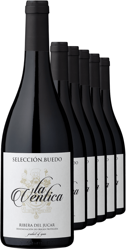 2018 »La Ventica« Selección Buedo Tempranillo im 6er-Vorratspaket Bodegas la Magdalena Club of Wine DE