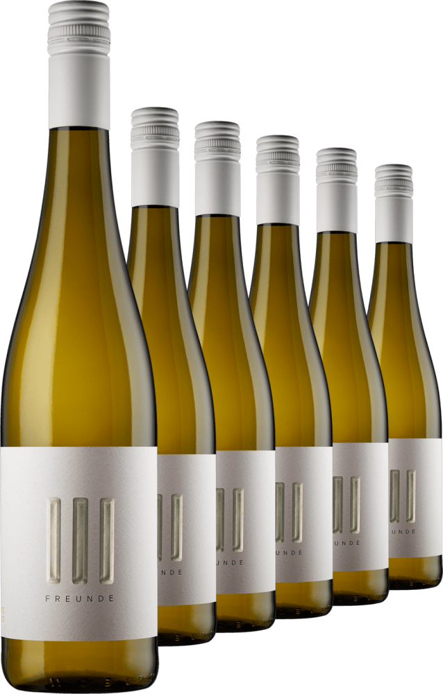 2021 III Freunde Riesling im 6er-Vorratspaket III Freunde Weine Ludwig von Kapff DE