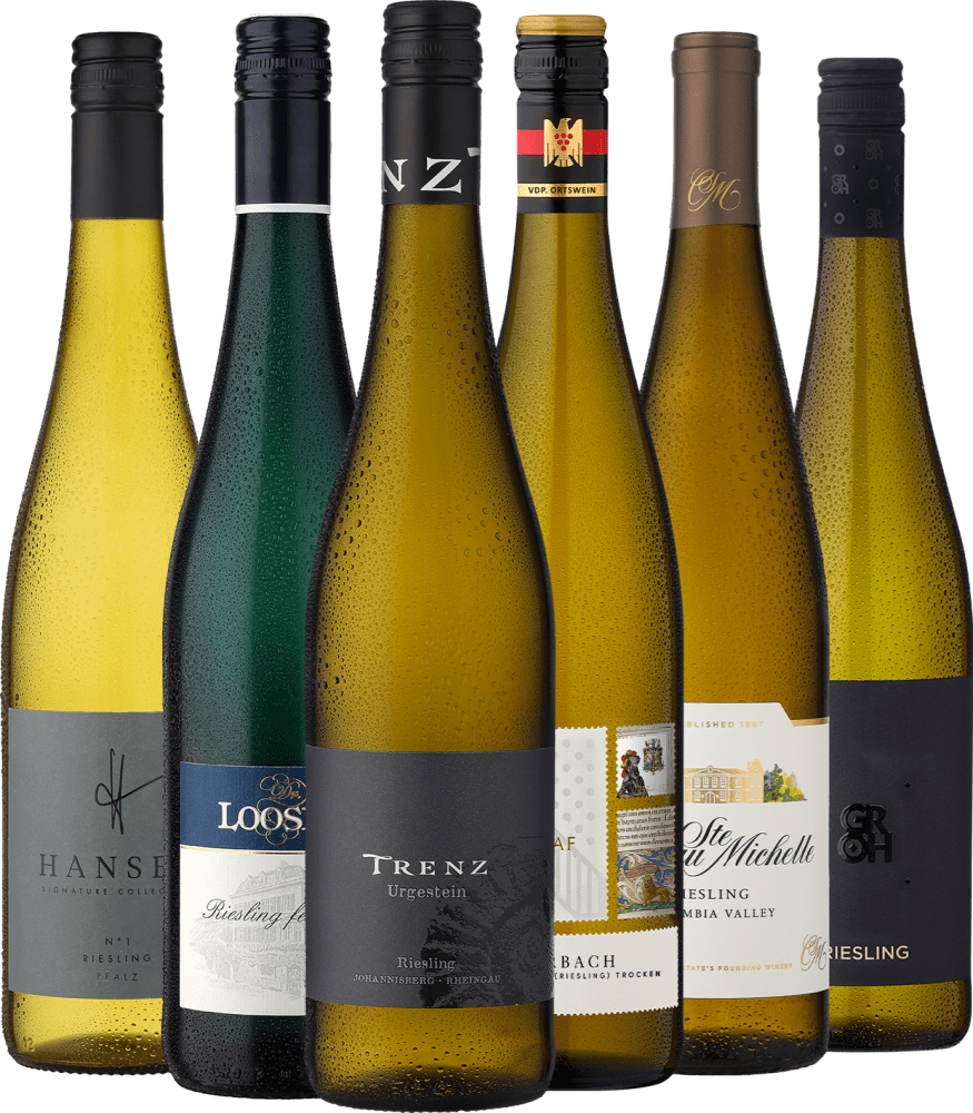 6er-Probierpaket »Best of Riesling«  Ludwig von Kapff DE