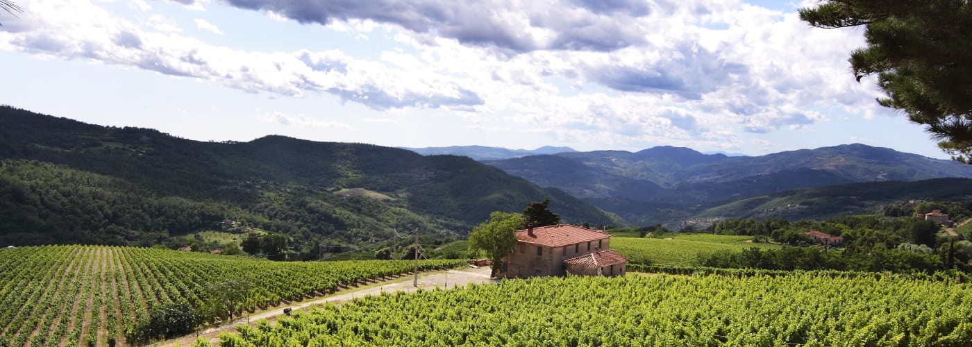Weingut Castello di Pomino Weine kaufen Ludwig von Kapff