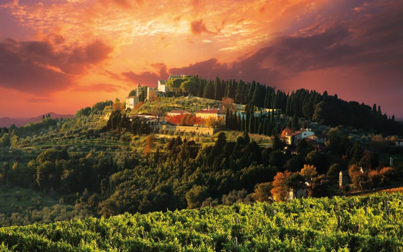 Castello di Nipozzano Weine kaufen Ludwig von Kapff