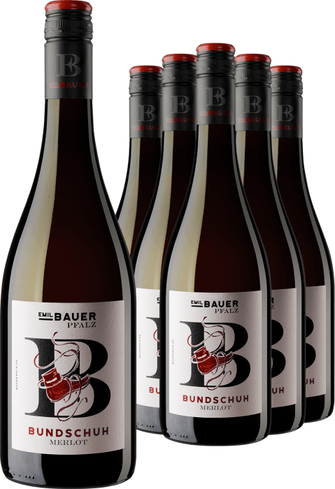 5+1-PAKET Emil Bauer Bundschuh Merlot 2022