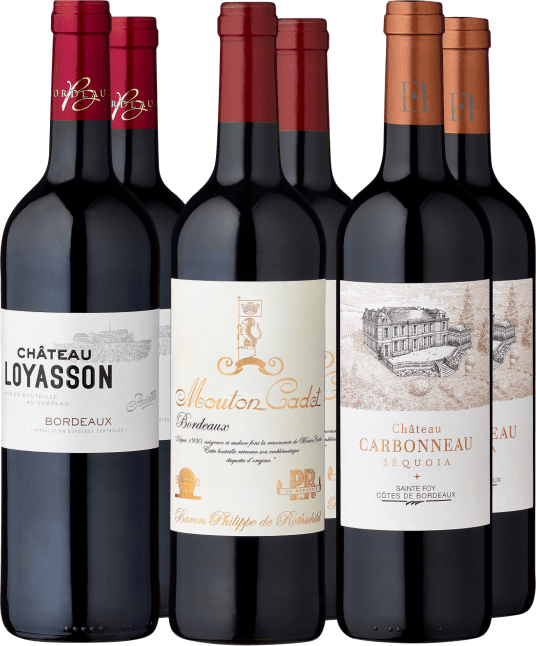 6er-Probierpaket »Best Buy Bordeaux«