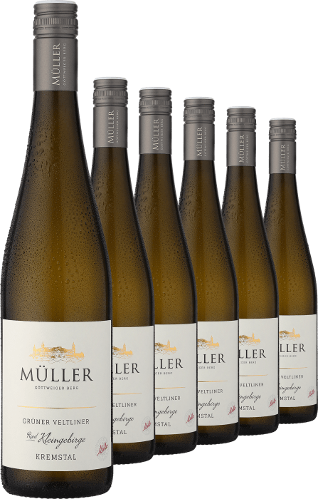 2022 Müller Grüner Ried Veltliner im Kleingebirge 6er-Vorratspaket