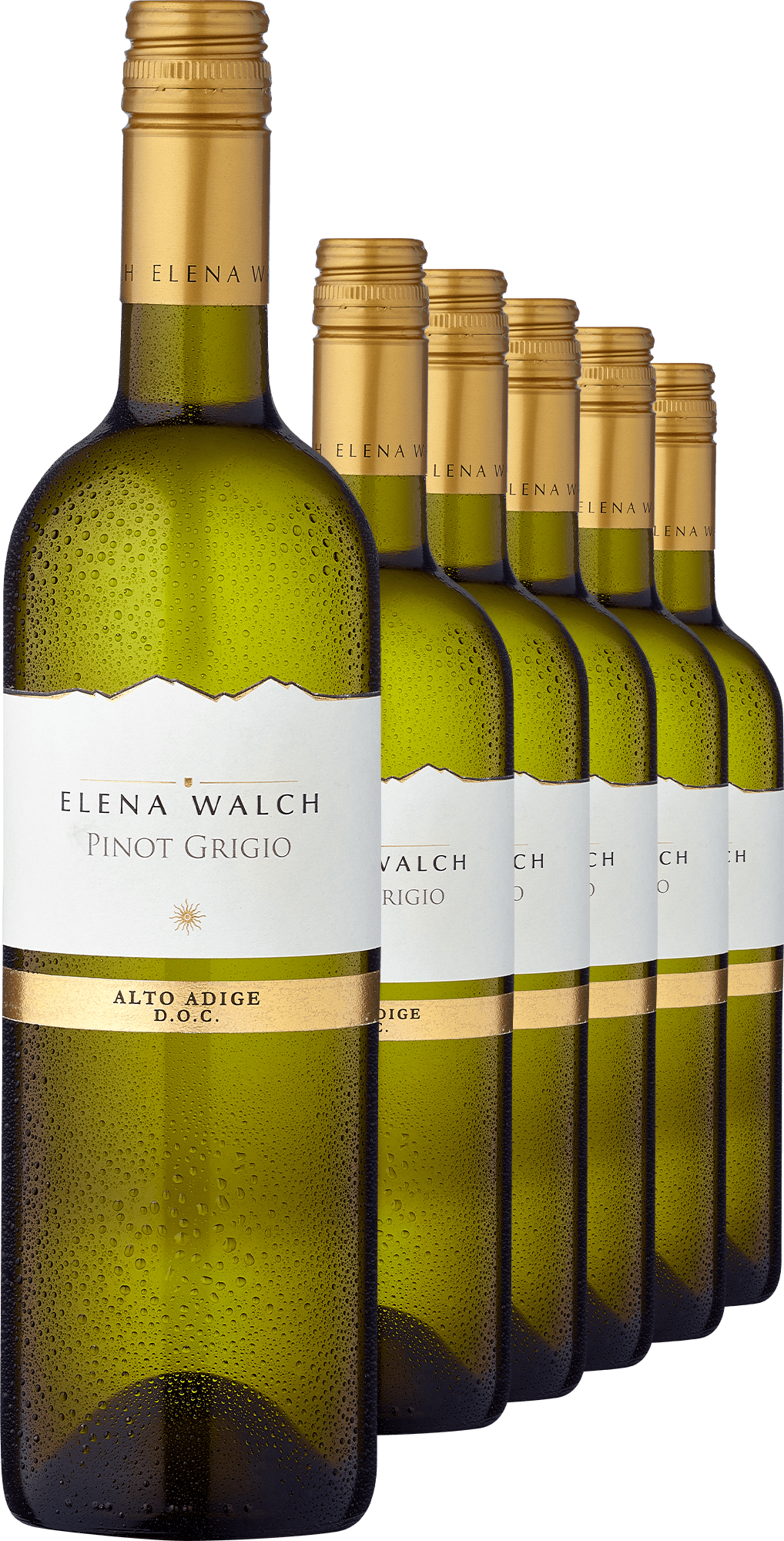 4002859986487 - 2022 Pinot Grigio im 6er-Vorratspaket 4002859986487 - 2022 Pinot Grigio im 6er-Vorratspaket