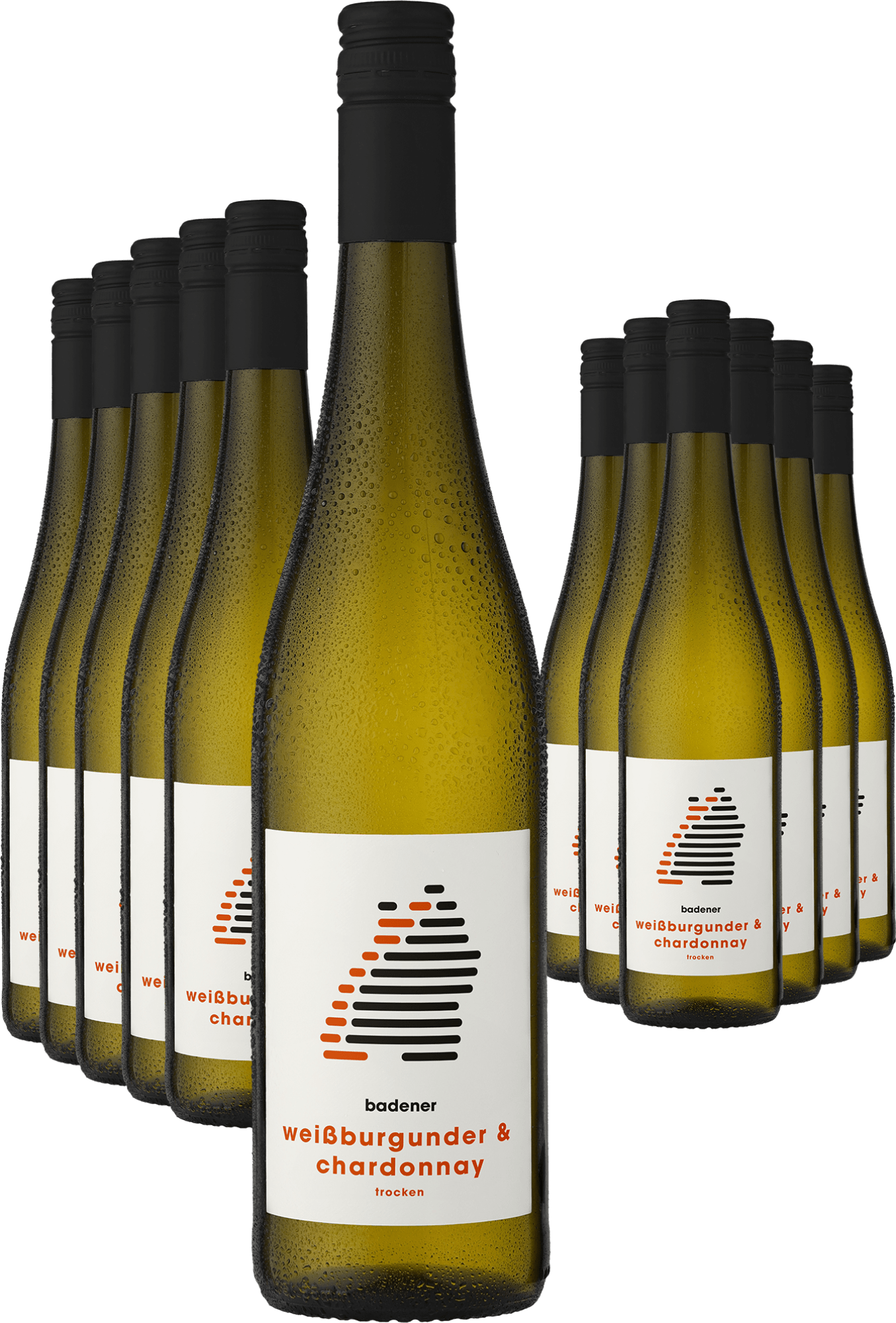 6+6-PAKET badener Weißburgunder & Chardonnay 2023 Markgräflich Badisches Weinhaus Ludwig von Kapff DE