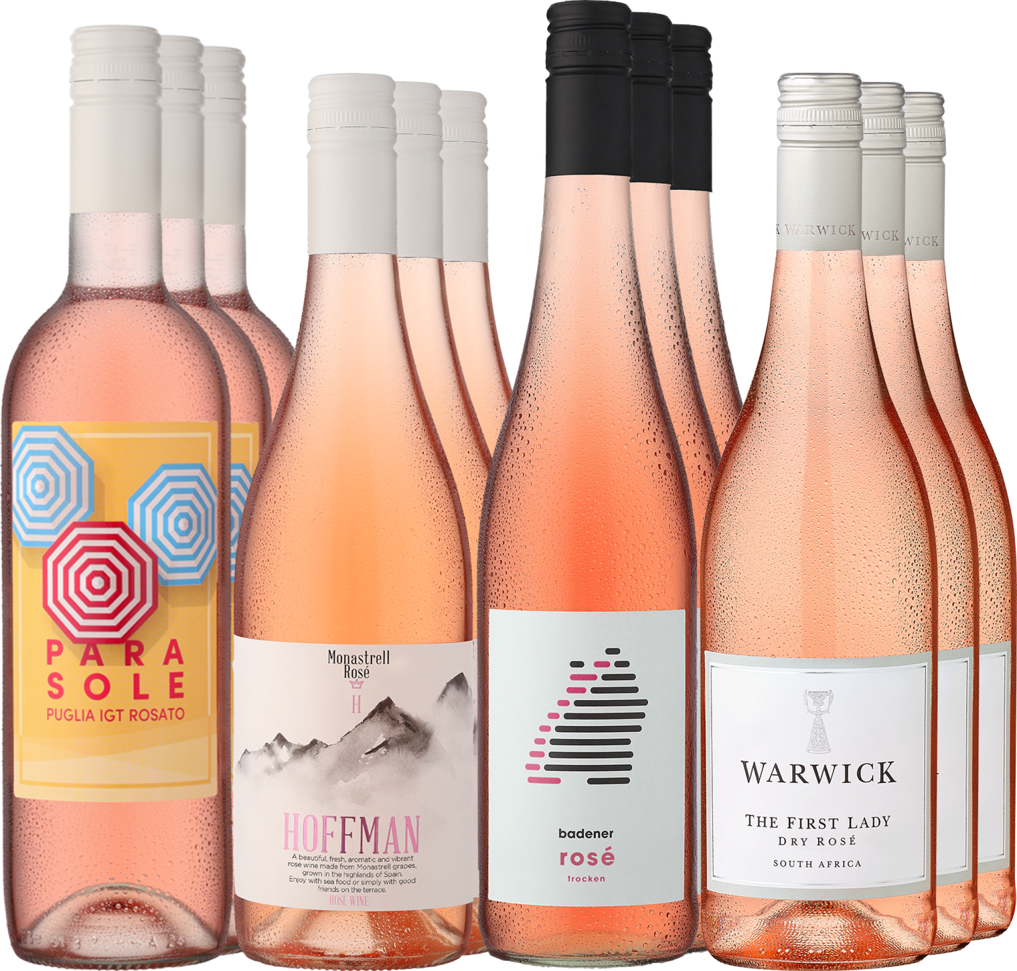 12er-Probierpaket »SSV Roséweine«