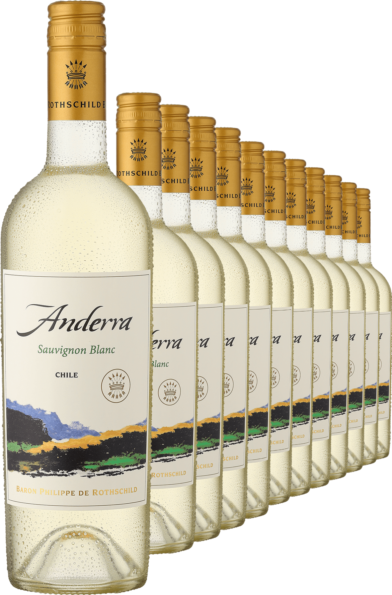 2022 Rothschild Anderra Sauvignon Blanc im 12er-Vorratspaket  Club of Wine DE