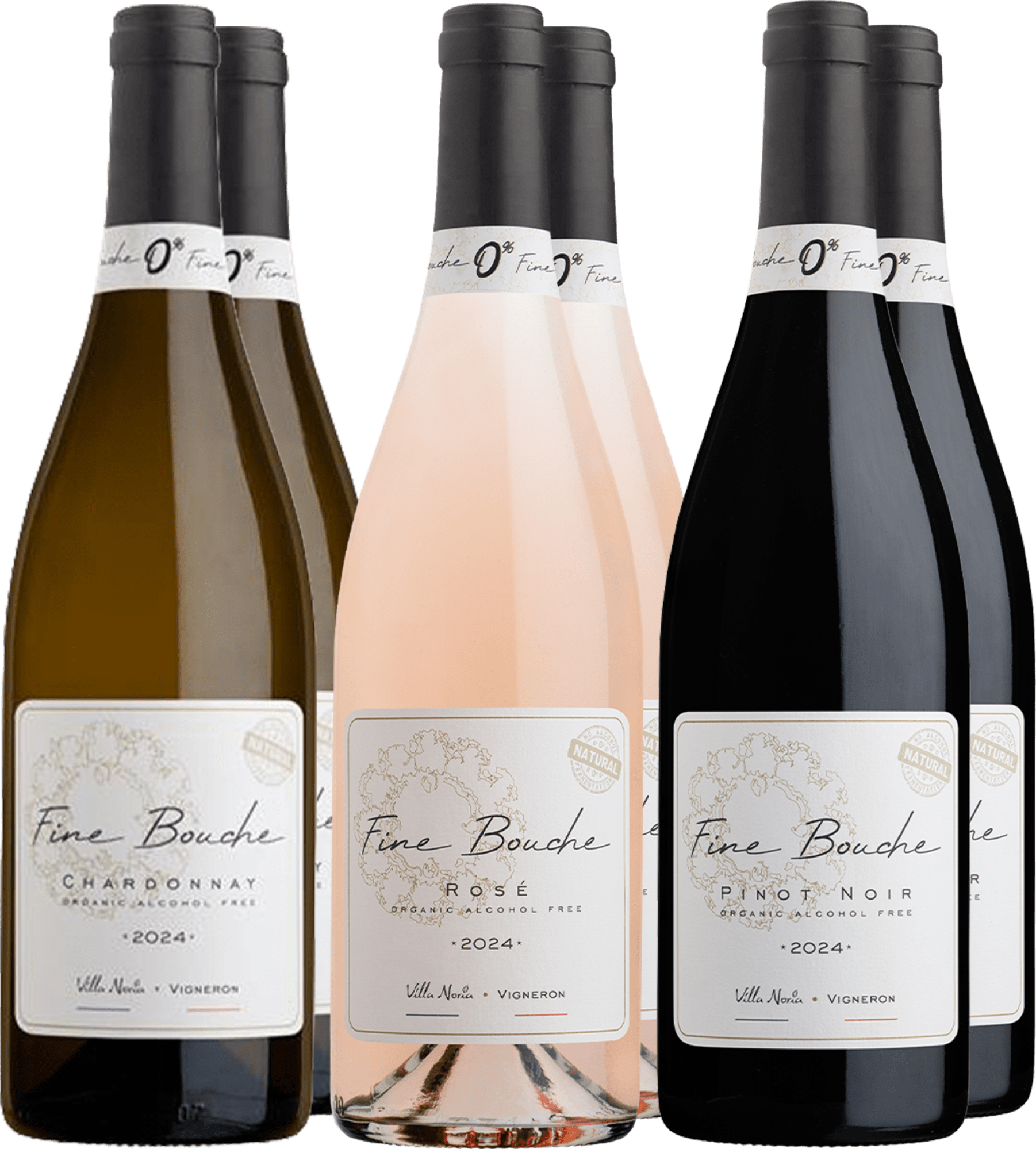 6er-Probierpaket »Best of Fine Bouche«