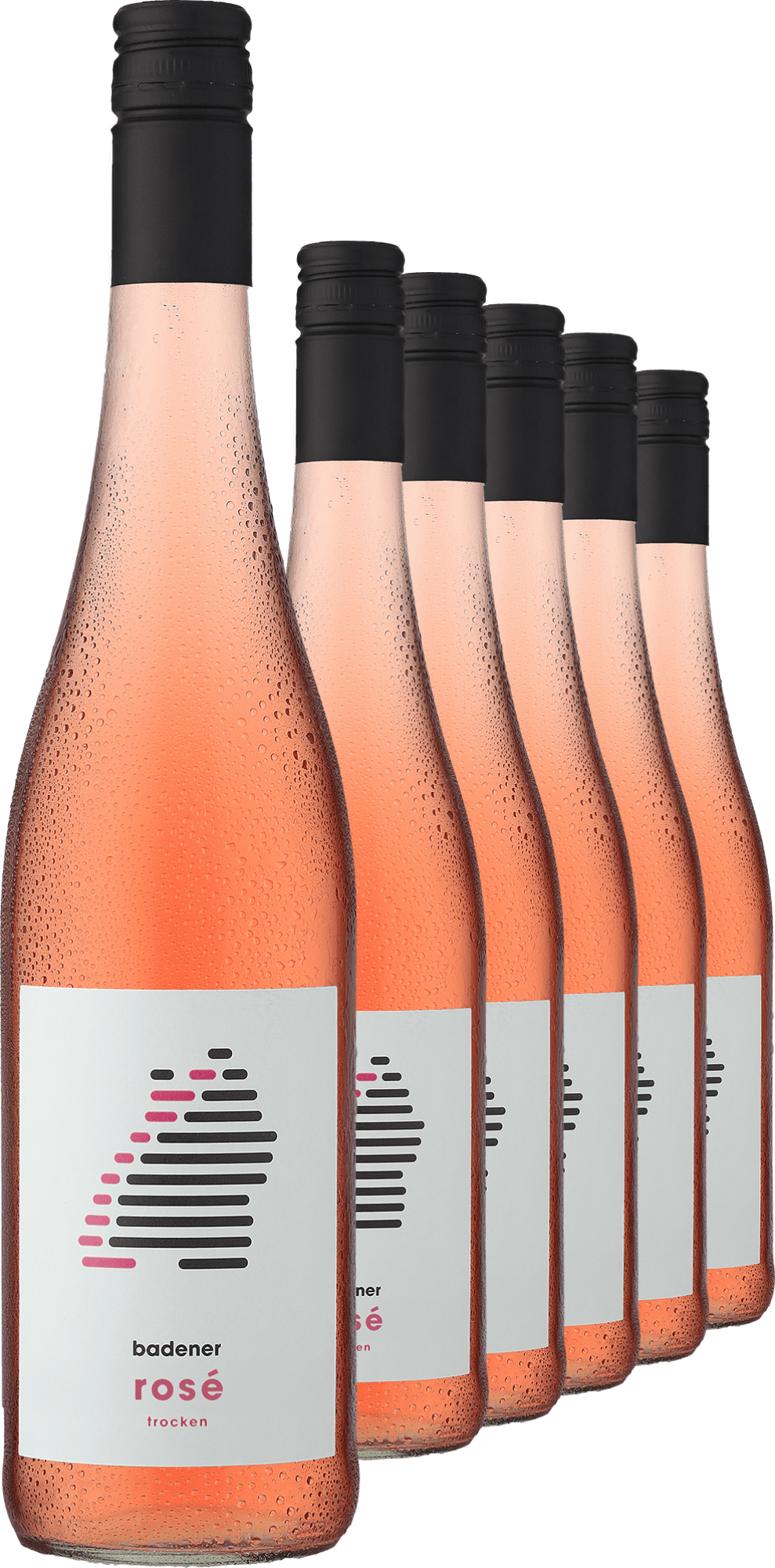 4002859994345 - 2024 badener Rosé im 6er-Vorratspaket 4002859994345 - 2024 badener Rosé im 6er-Vorratspaket