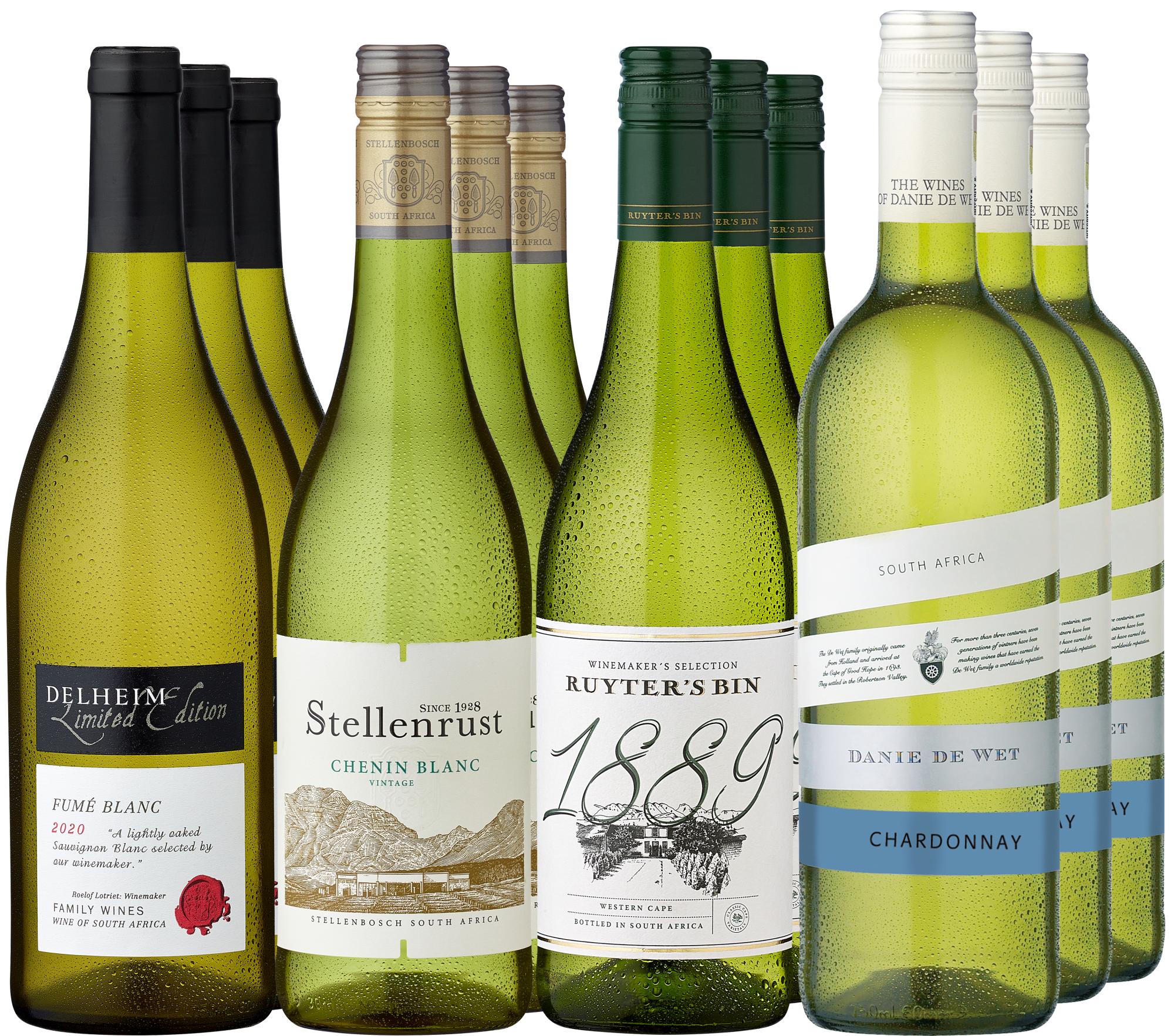 12er-Probierpaket »Weißweinvielfalt Südafrika«  Club of Wine DE