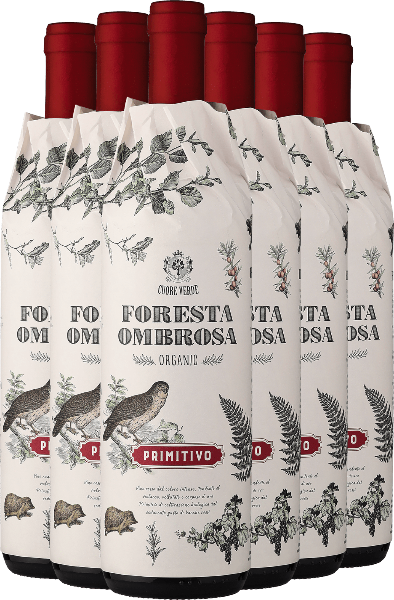 4002859997568 - 2024 Cuore Verde »Foresta Ombrosa« Primitivo – Bio im 6er-Vorratspaket