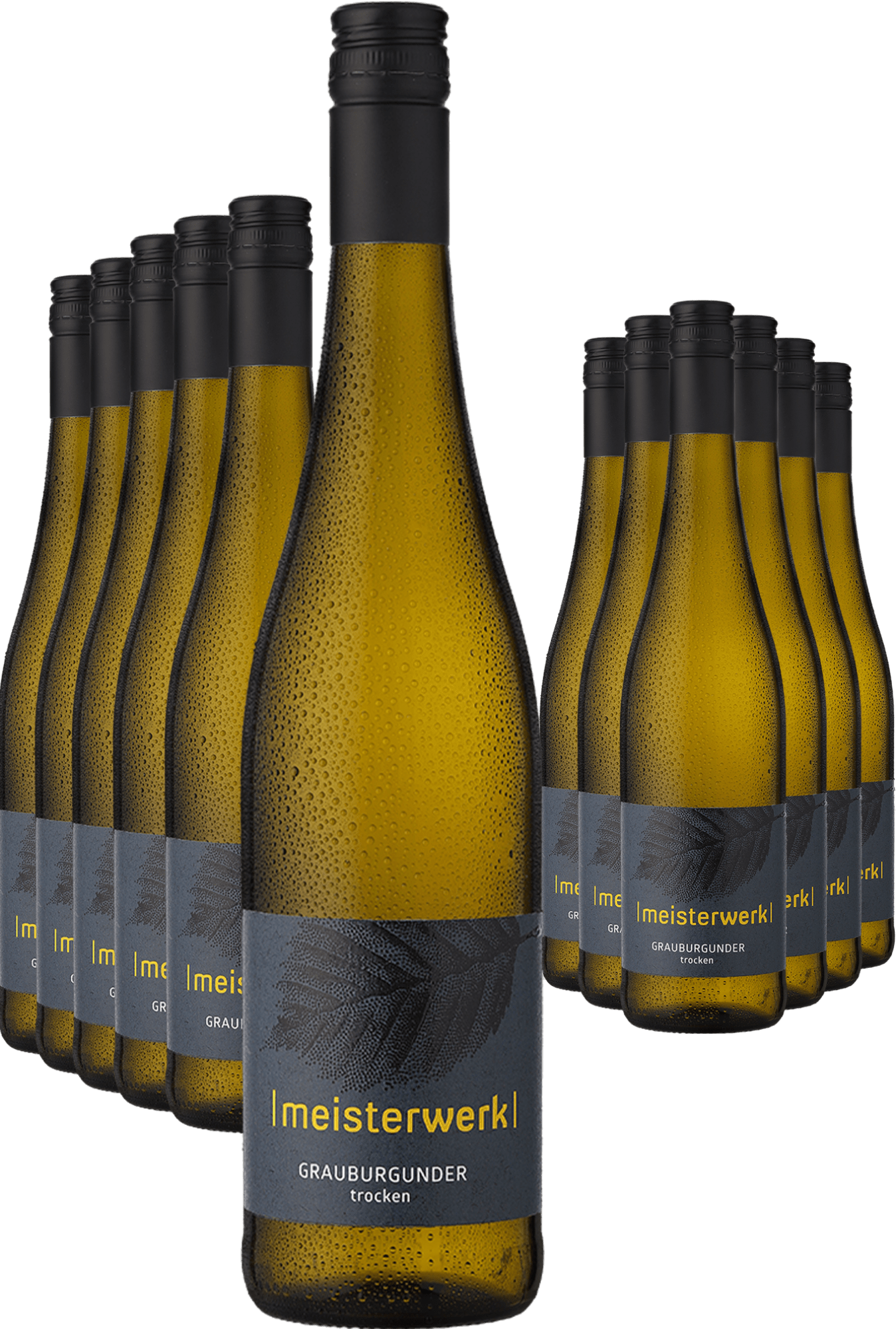 Image of 6+6-PAKET Espenhof »Meisterwerk« Grauburgunder 2024