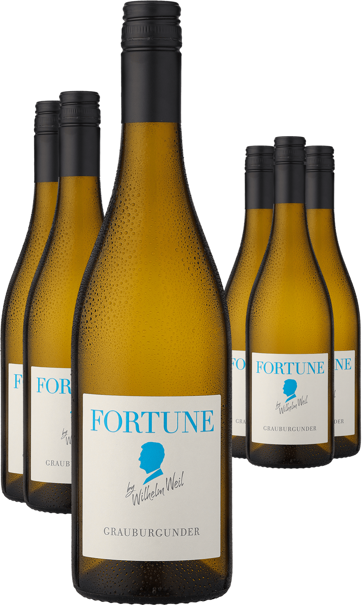 4002859987606 - 2022 Wilhelm Weil »Fortune« Grauburgunder im 6er-Vorratspaket 4002859987606 - 2022 Wilhelm Weil »Fortune« Grauburgunder im 6er-Vorratspaket