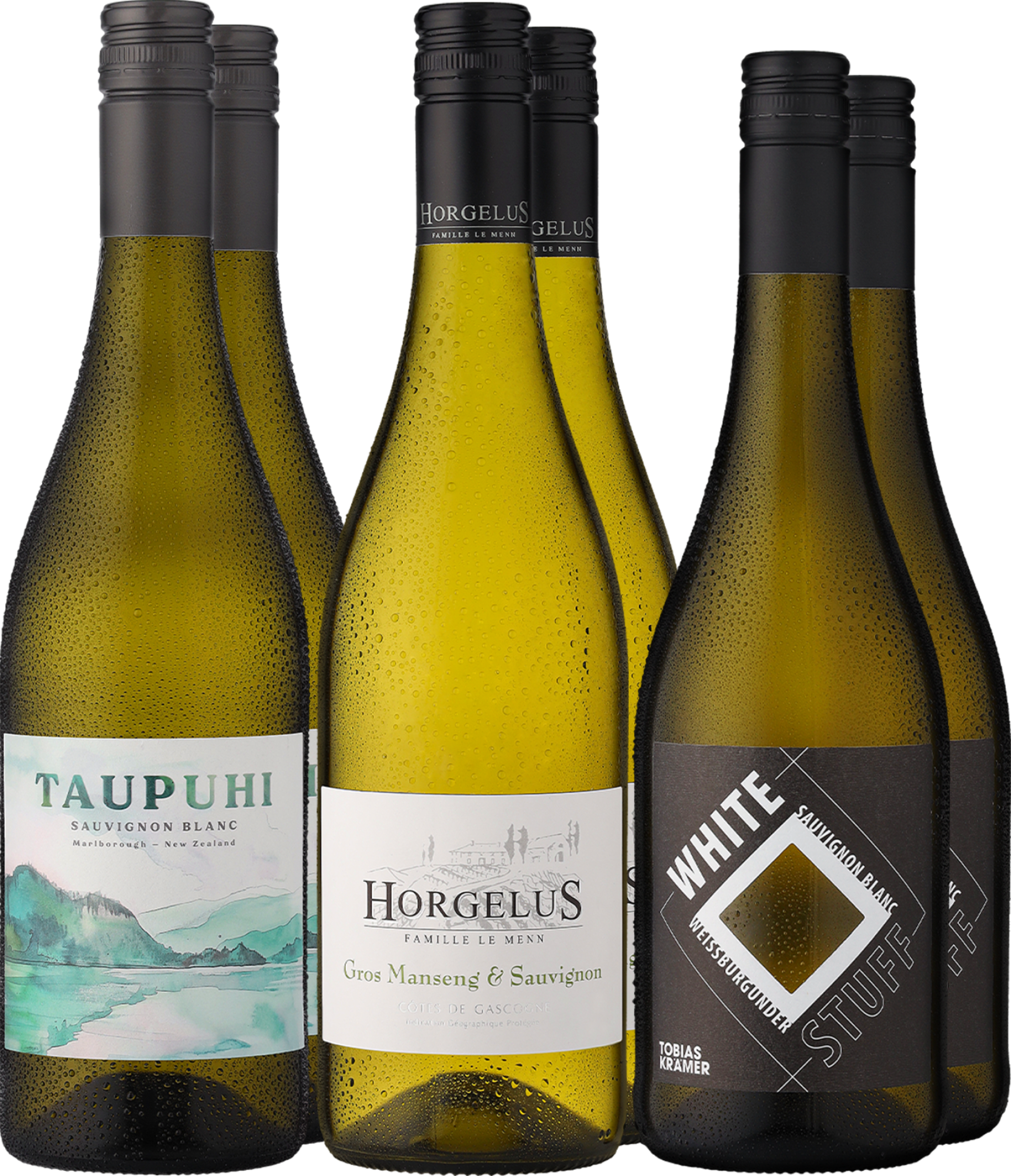 6er-Probierpaket »Sauvignon Blanc um die Welt«