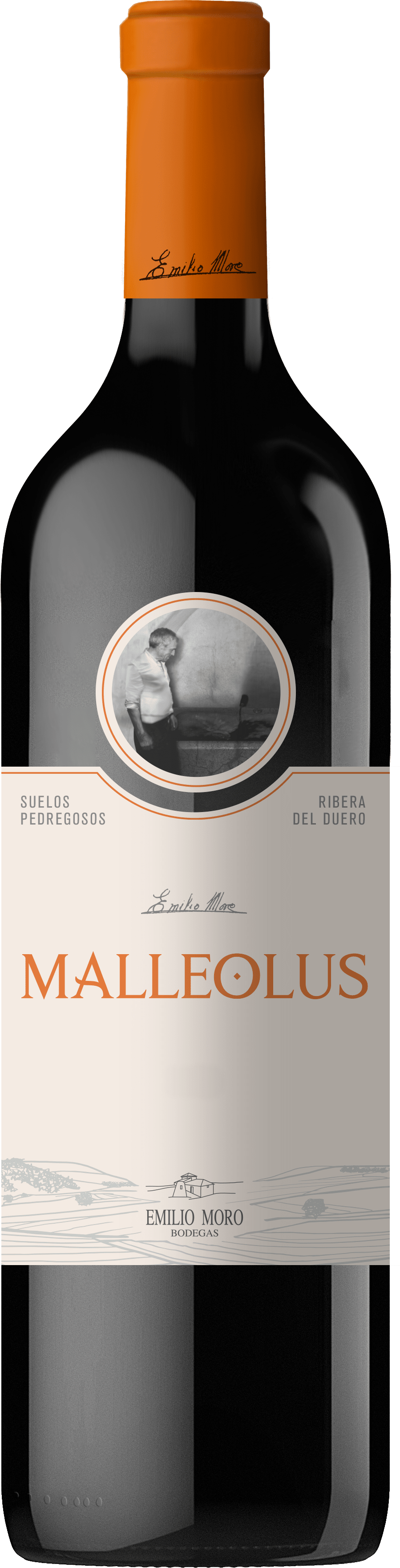Emilio Moro »Malleolus«  Club of Wine DE