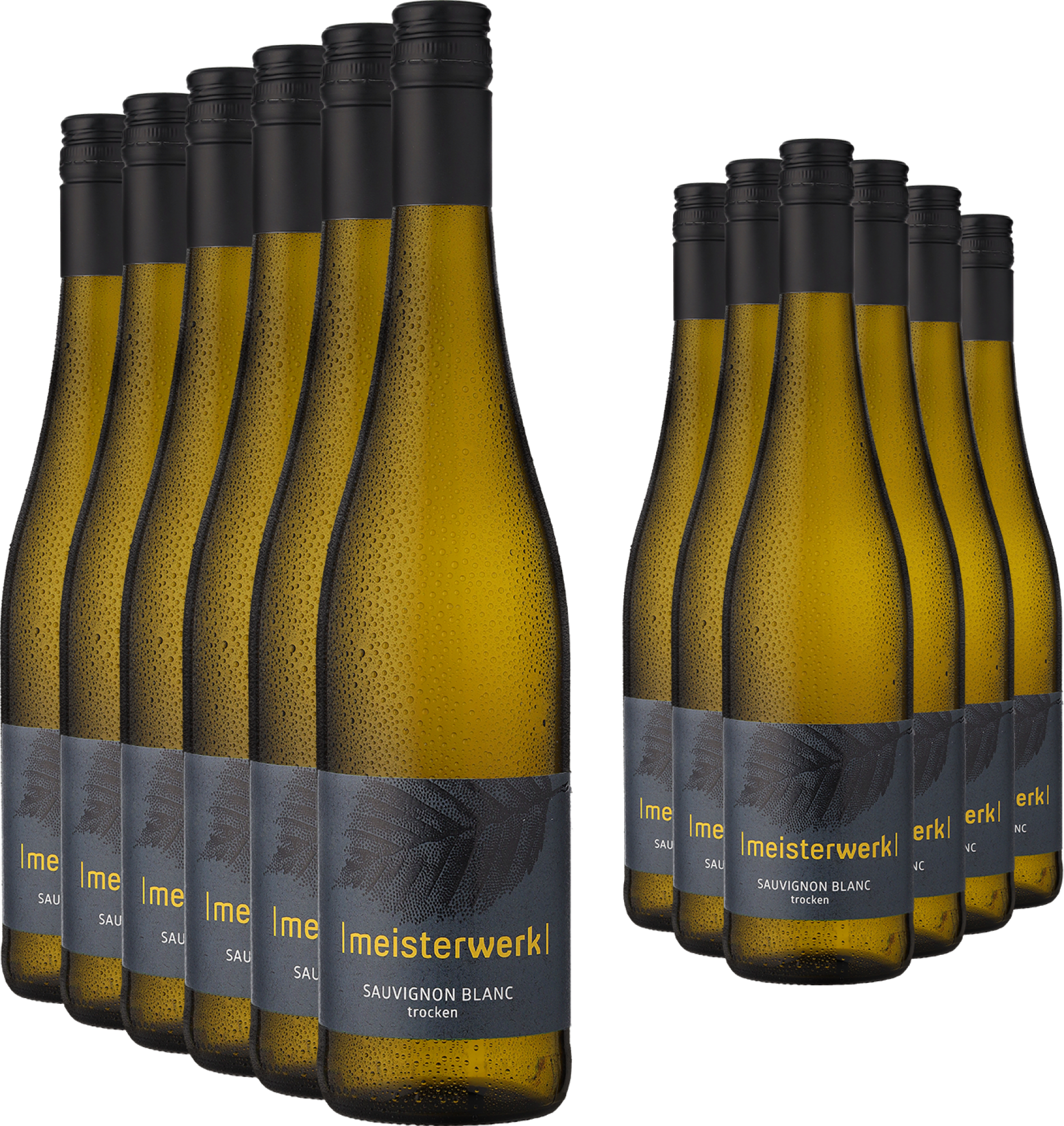 6+6-PAKET Espenhof »Meisterwerk« Sauvignon Blanc 2024