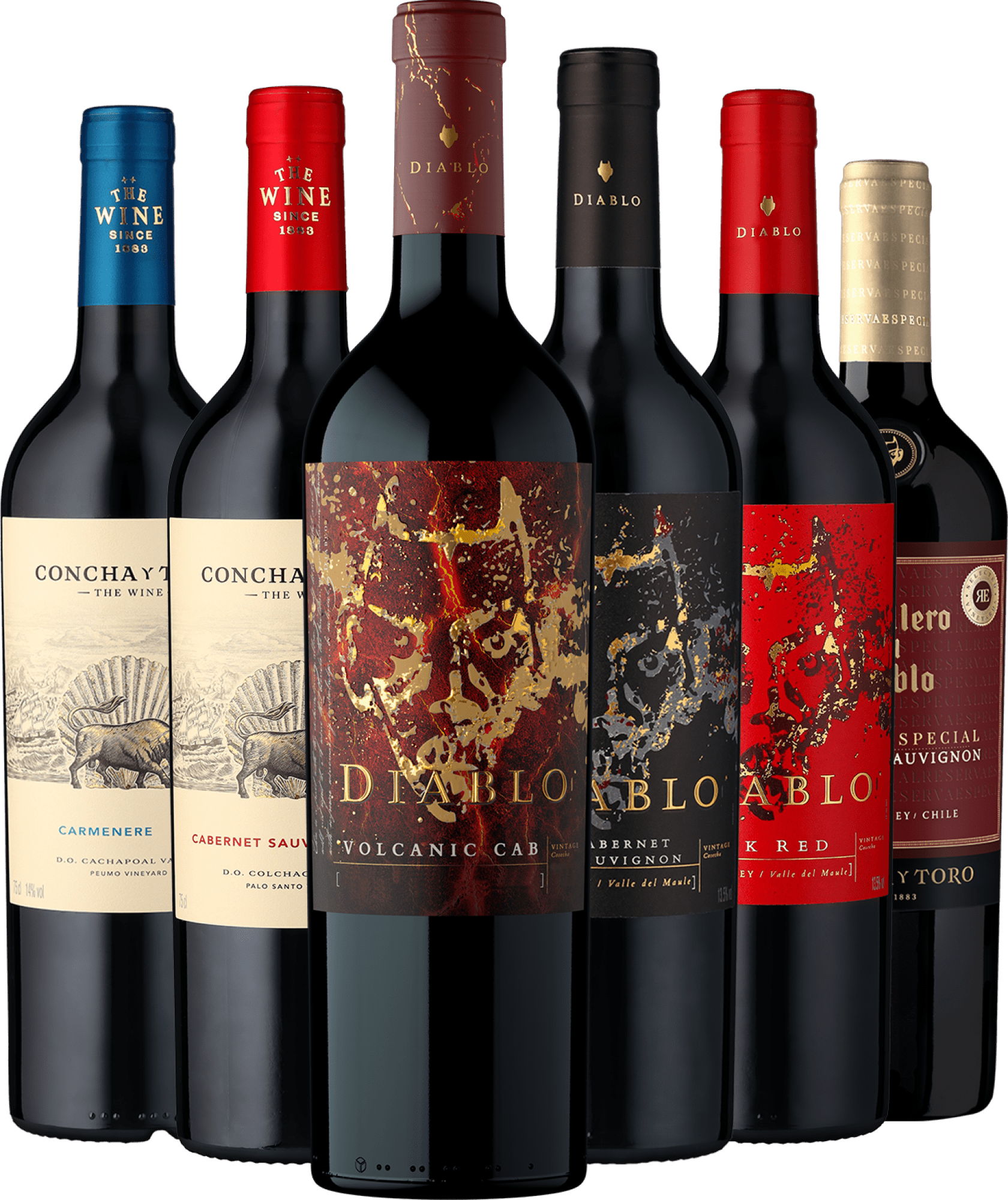 6er-Probierpaket »Rotweine Viña Concha y Toro«