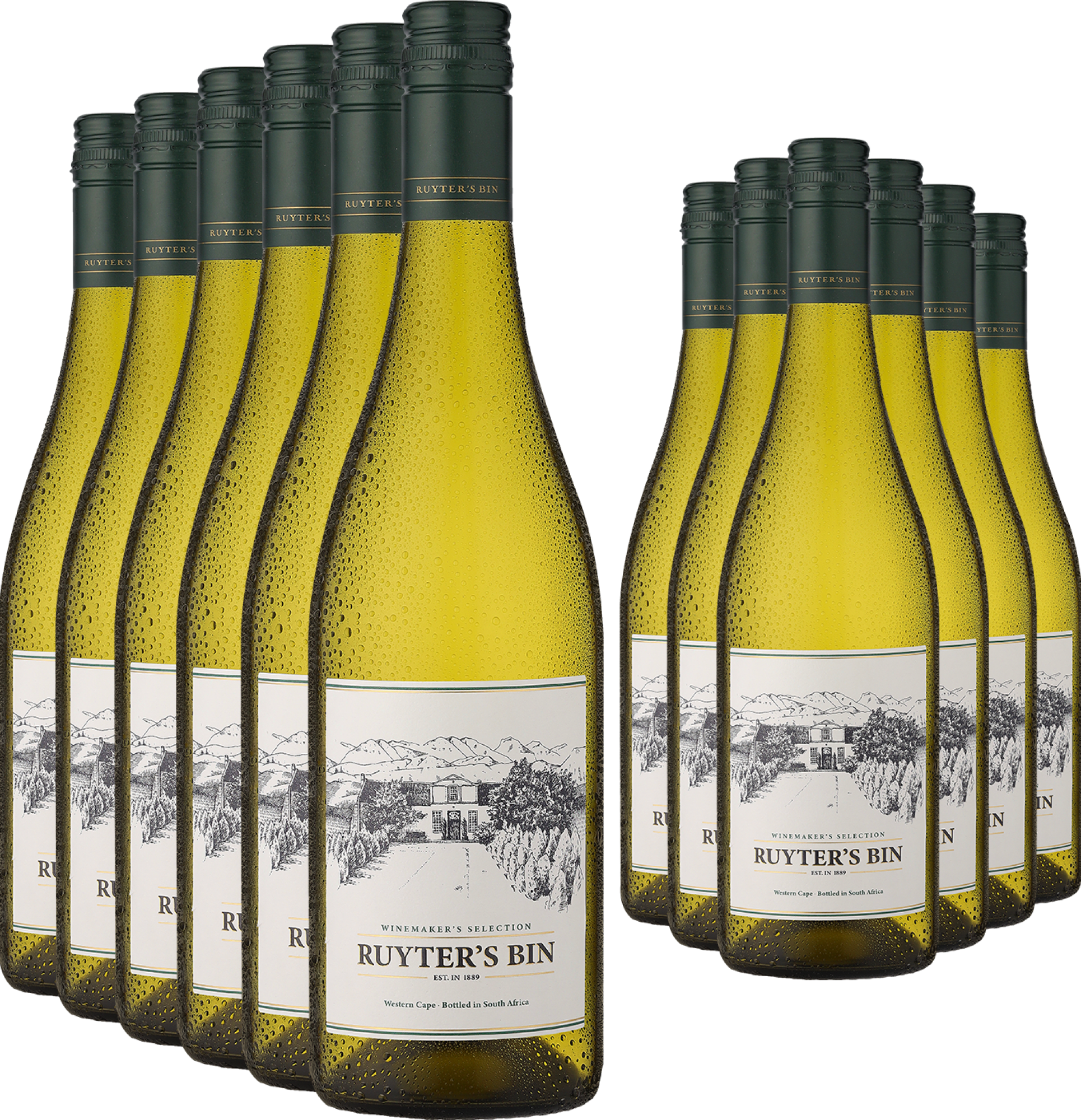 6+6-PAKET Ruyter's Bin »1889« White 2025