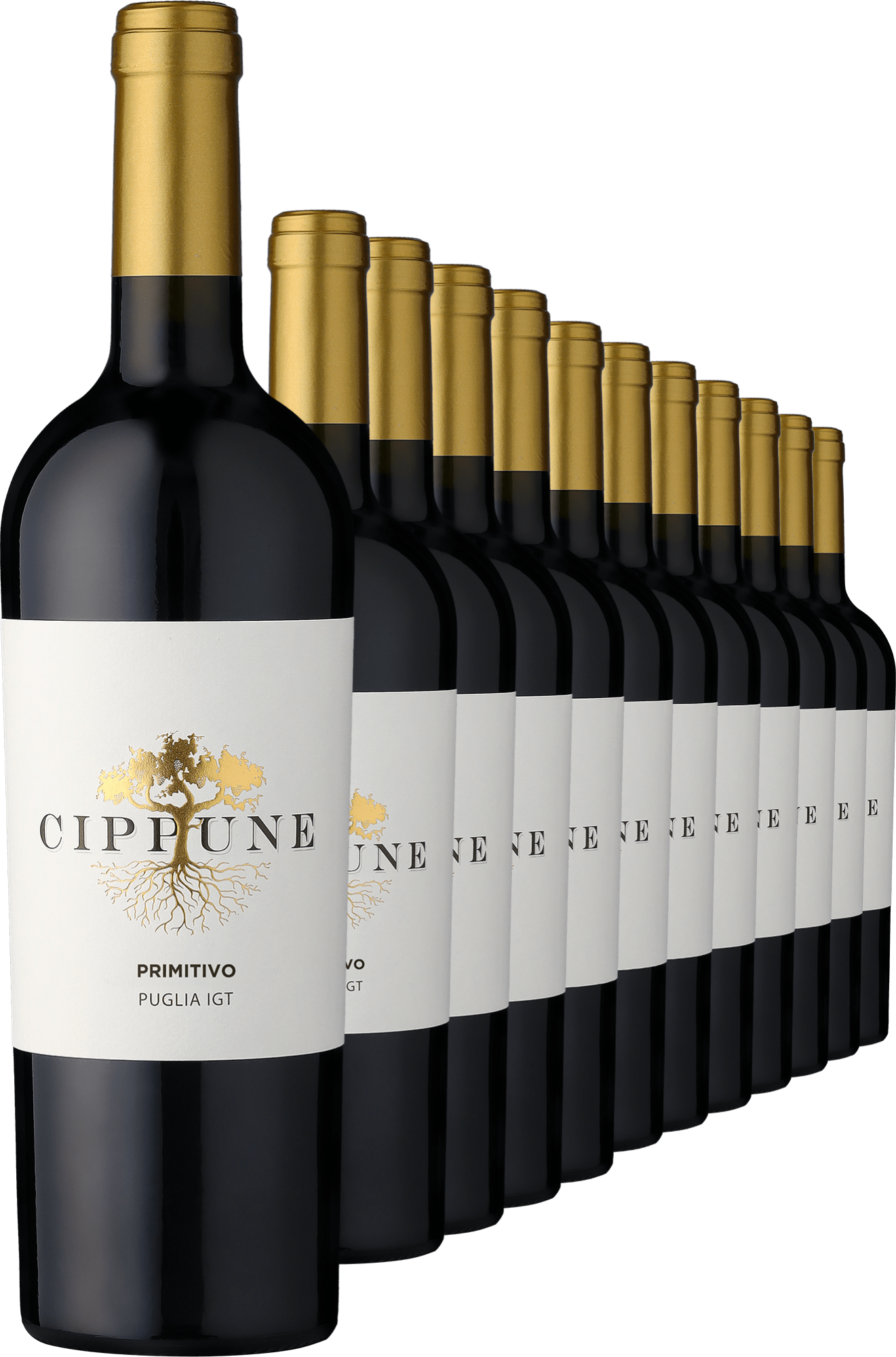 2025 Cippune Primitivo im 12er-Vorratspaket