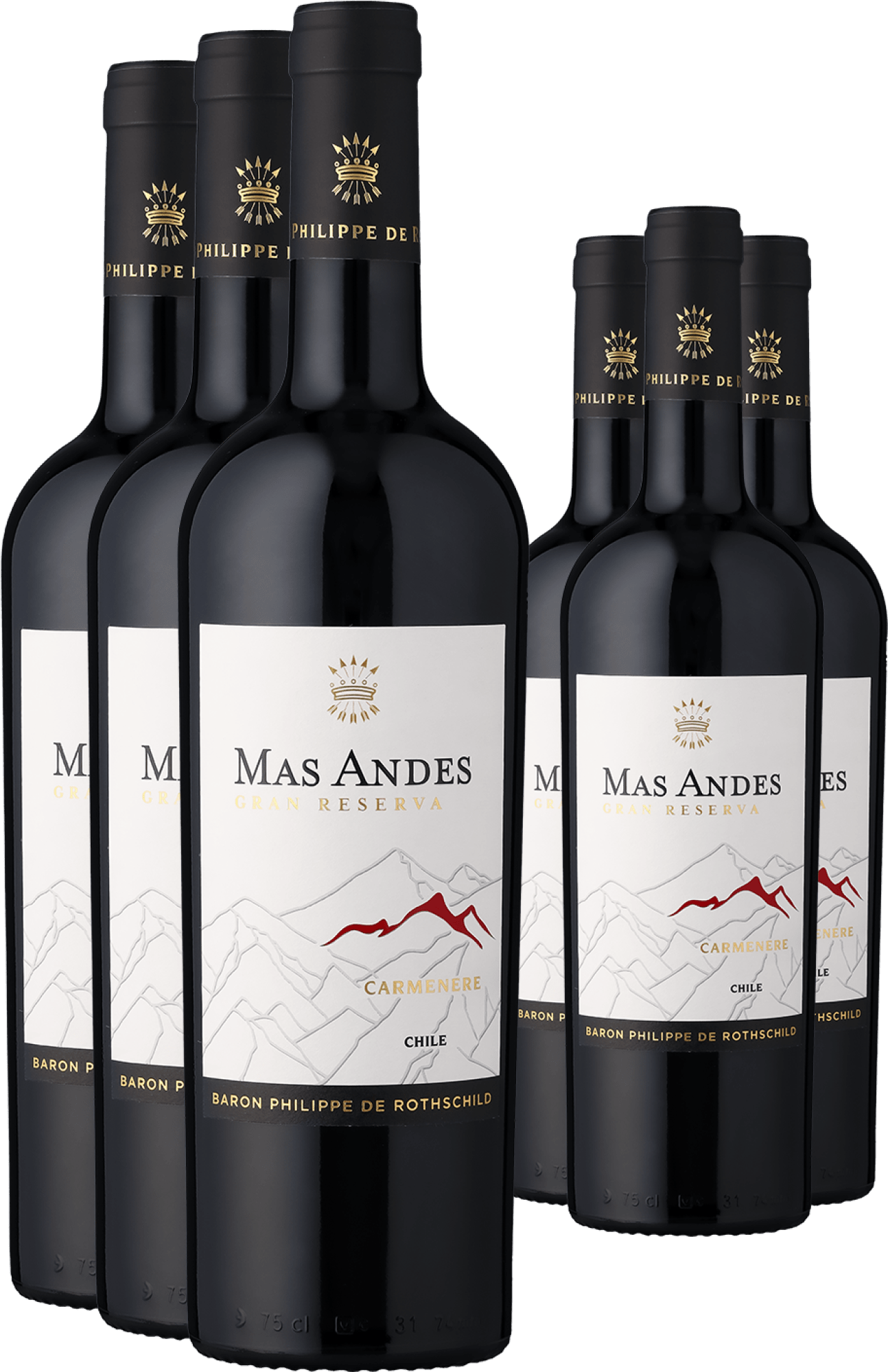 3+3-PAKET Rothschild Mas Andes Gran Reserva Carménère 2023