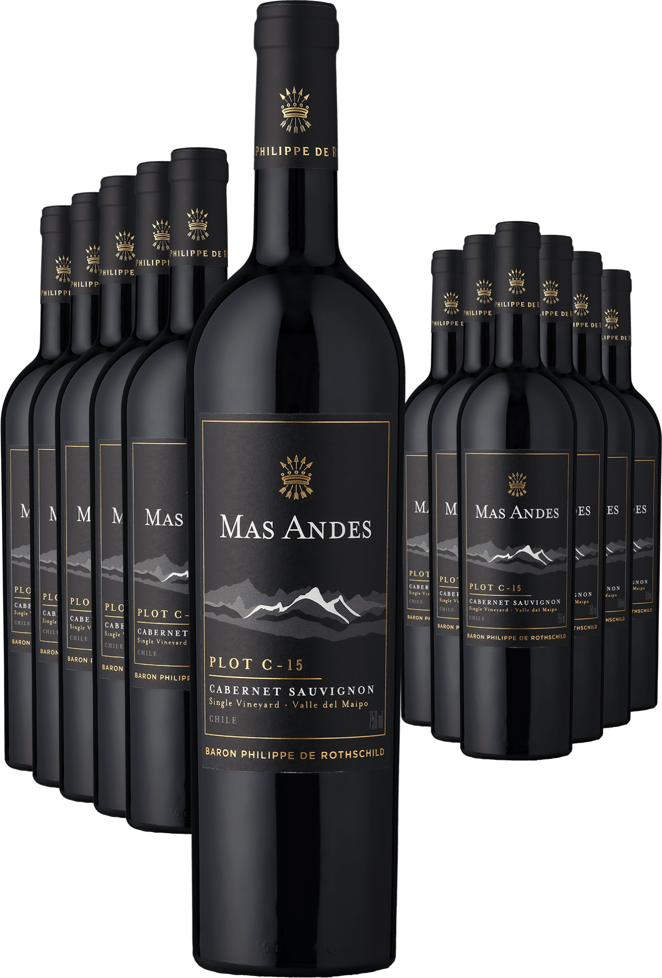 6+6-PAKET Rothschild Mas Andes PLOT C-15 Cabernet Sauvignon 2022