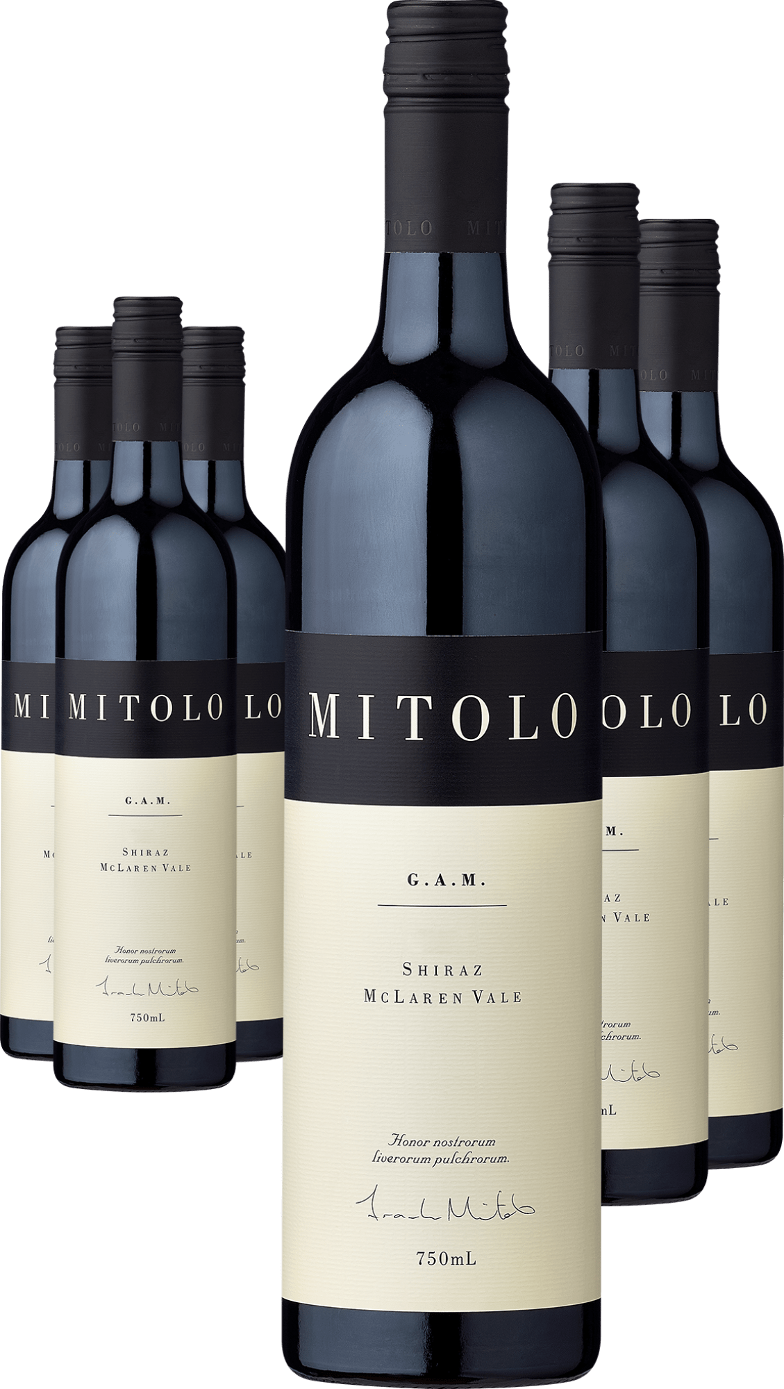 3+3-PAKET Mitolo »G.A.M.« Shiraz 2019