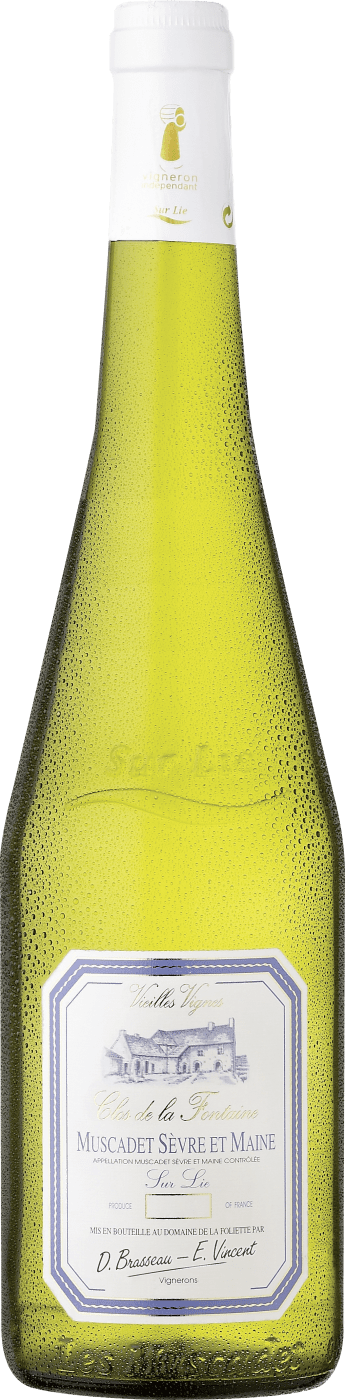 Clos de la Fontaine Maine Lie Sèvre Sur Muscadet et