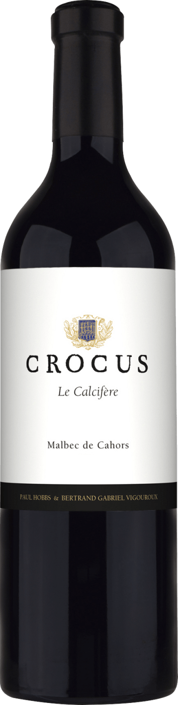 Crocus »Le Calcifère« Malbec