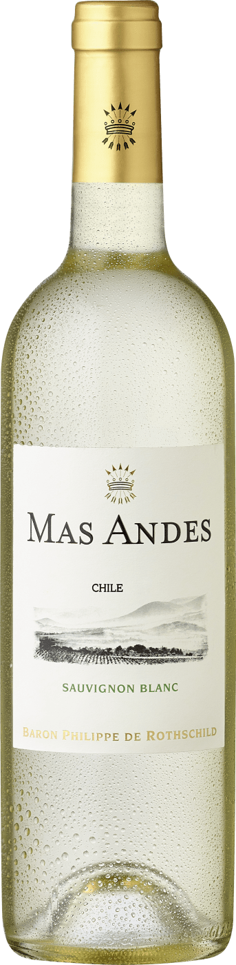 Rothschild Mas Andes Sauvignon Blanc Baron Philippe de Rothschild - Chile Ludwig von Kapff DE