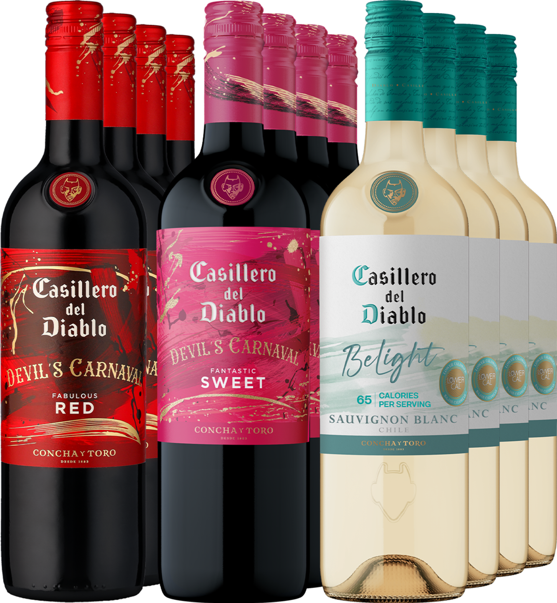 12er-Probierpaket »Concha y Toro Mix«
