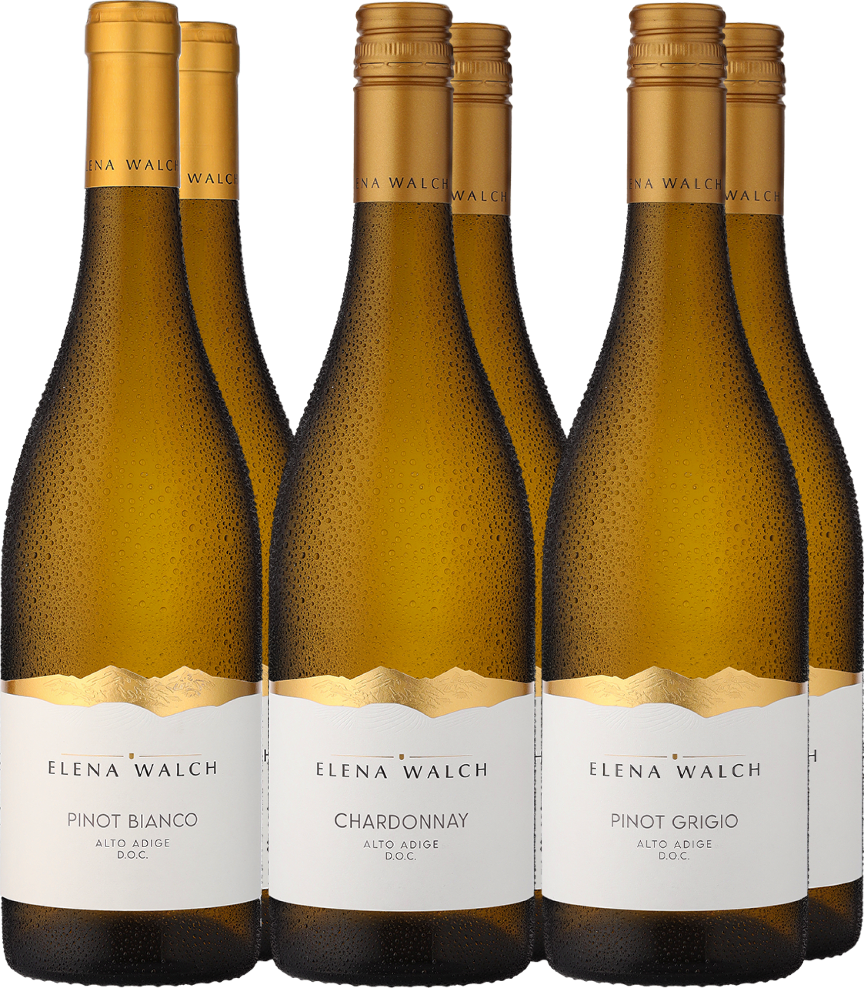 6er-Probierpaket »Elena Walch Highlights«