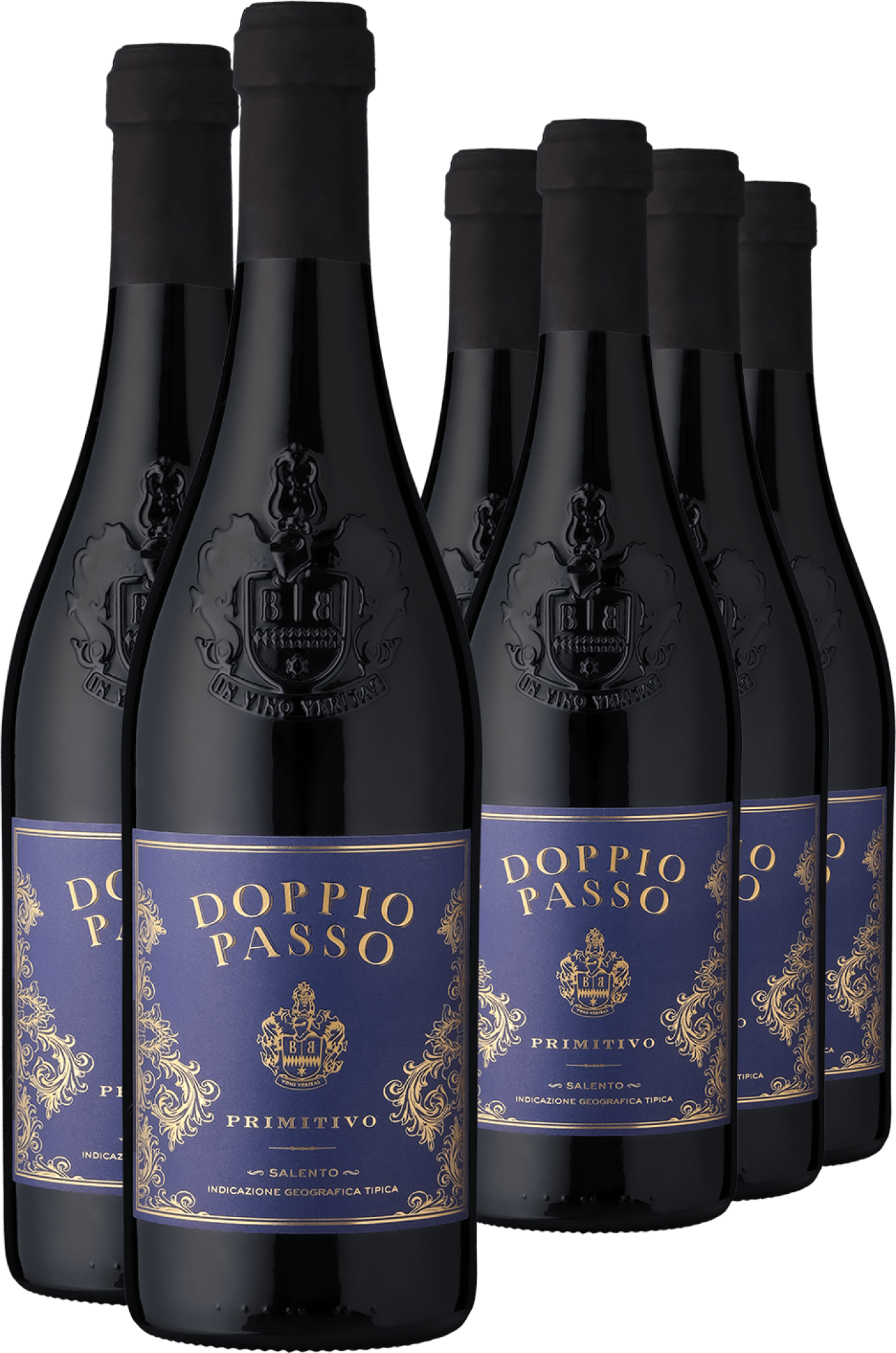 4002859982571 - 2021 Doppio Passo Salento Primitivo im 6er-Vorratspaket