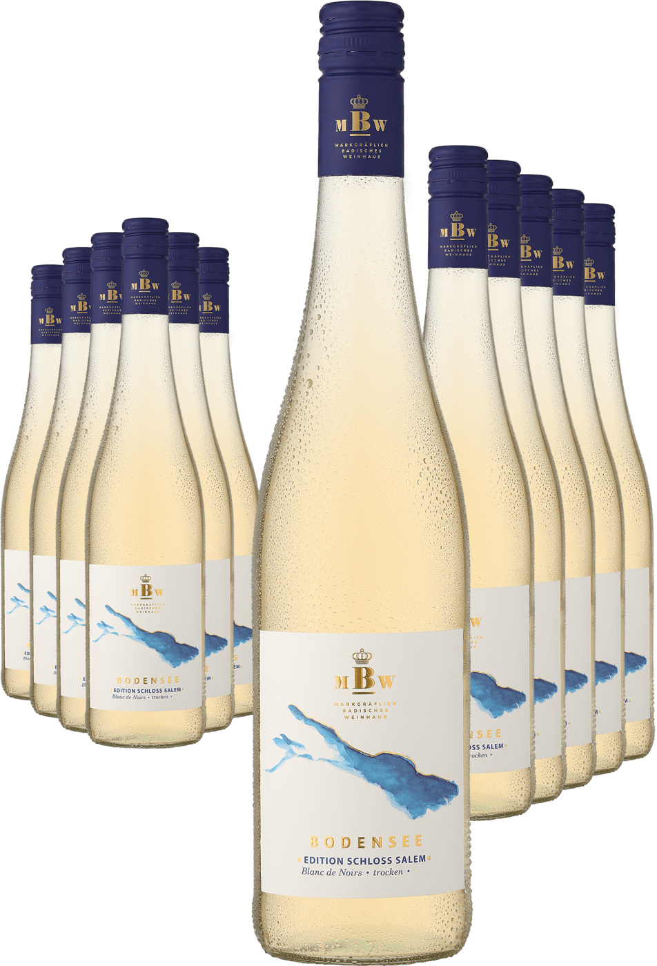 6+6-PAKET Markgräflich Badisches Weinhaus Bodensee »Edition Schloss Salem« Blanc de Noirs 2023 Markgräflich Badisches Weinhaus Ludwig von Kapff DE