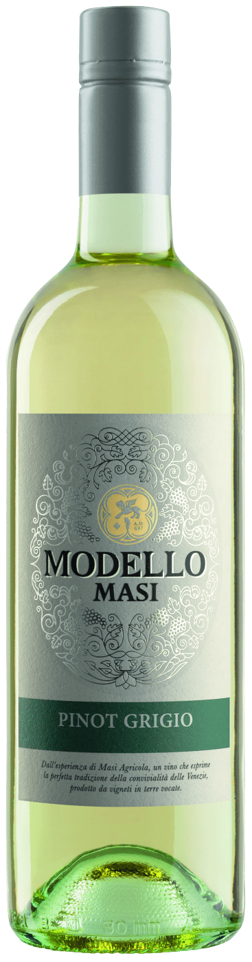 Masi Modello Pinot Grigio delle Venezie  Club of Wine DE