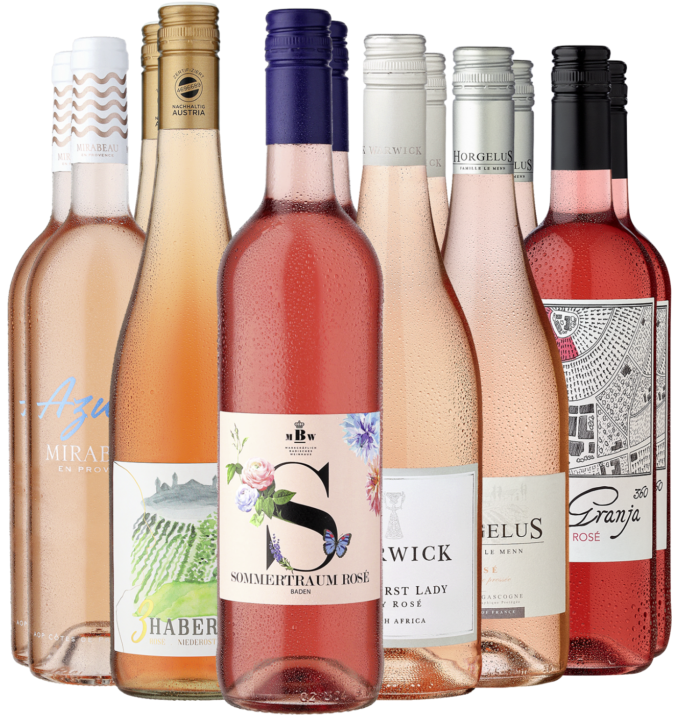 12er-Probierpaket »Ein Traum in Rosé«  Club of Wine DE