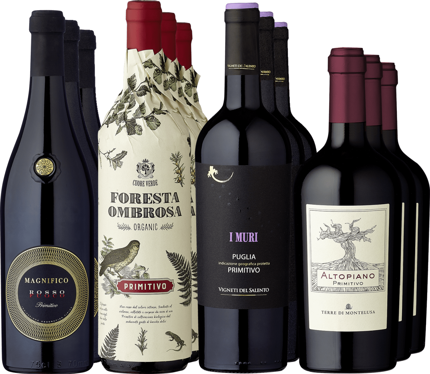 12er-Probierpaket »Primitivo-Liebe«  Club of Wine DE