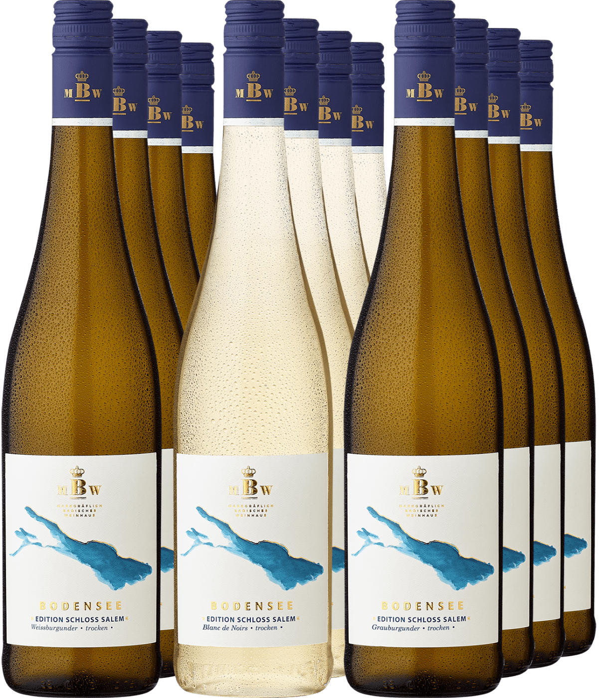 12er-Probierpaket »Burgundervielfalt«  Club of Wine DE