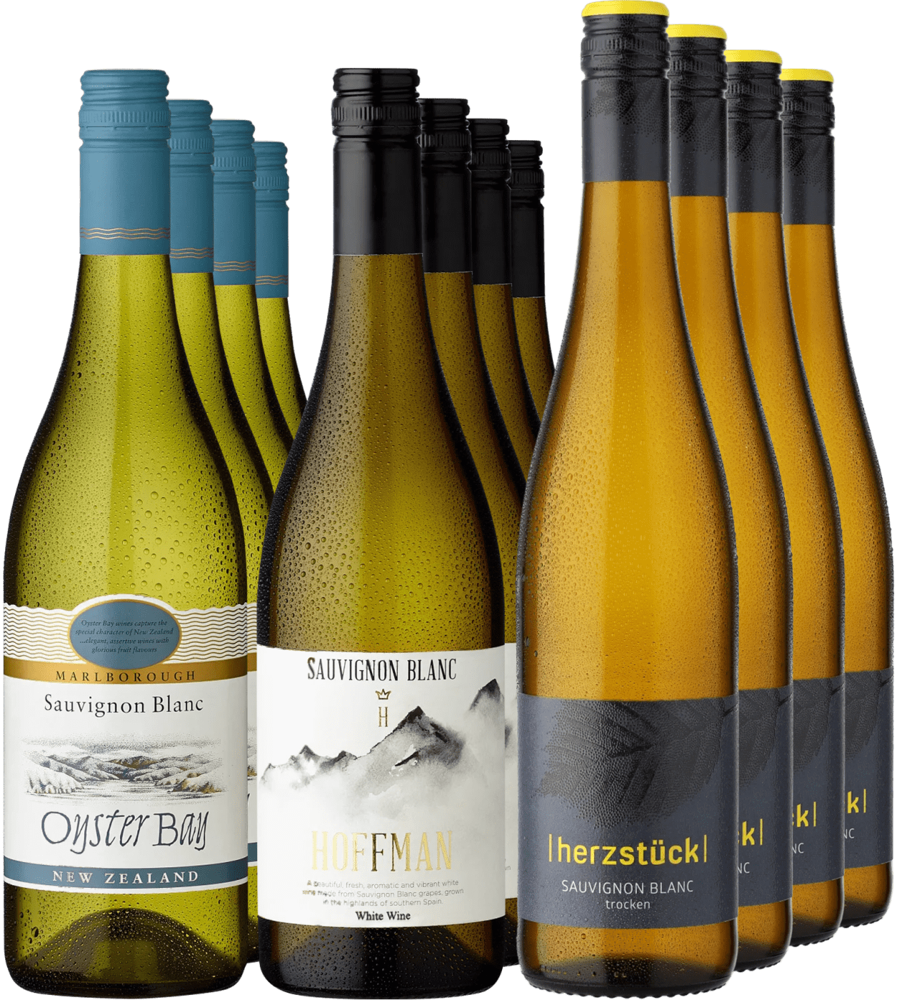 12er-Probierpaket »Aromareise Sauvignon Blanc«  Club of Wine DE