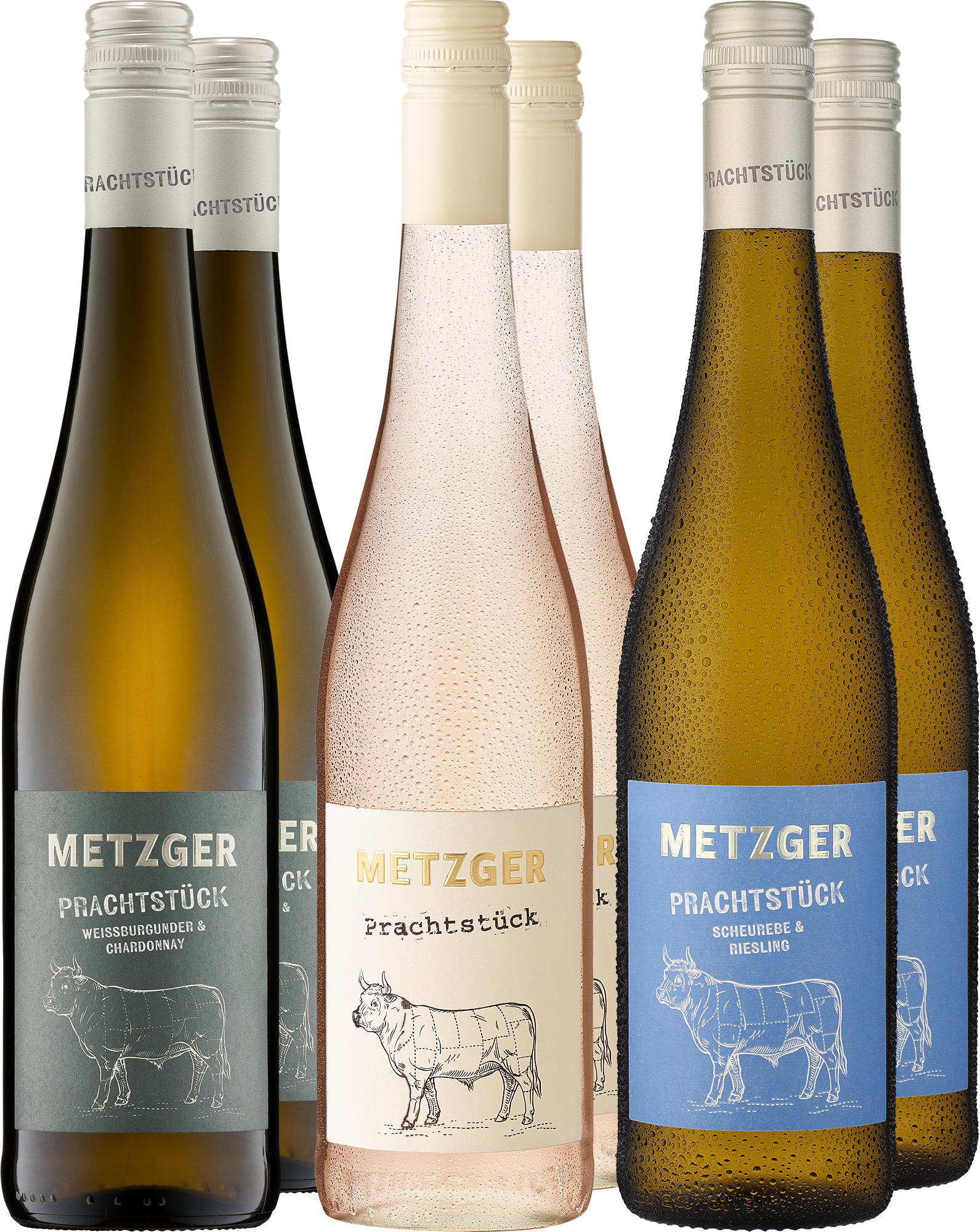 6er-Probierpaket »Weingut Metzger in Weiß«