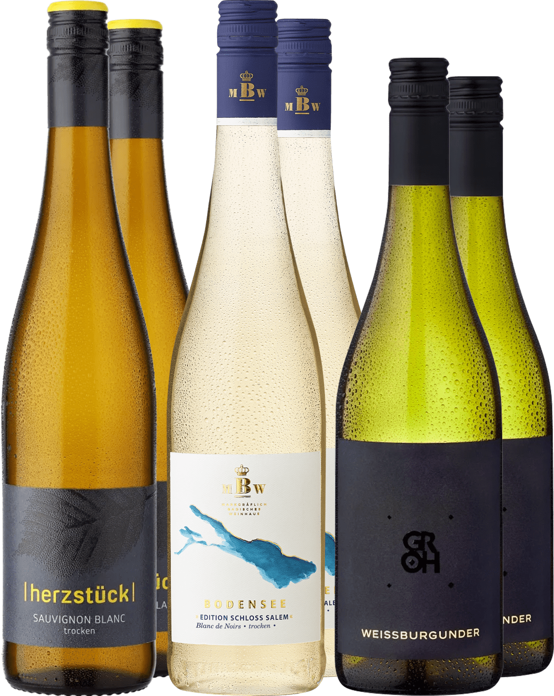 6er-Probierpaket »Deutsche Frühlingsweine in Weiß«  Club of Wine DE